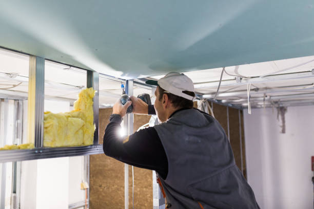 Best Insulation Air Sealing  in Allendale, SC